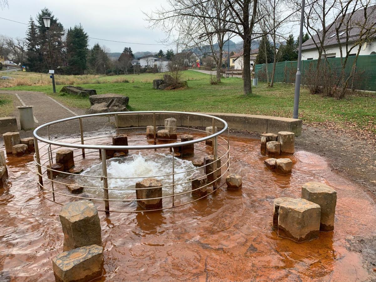 Ferienhaus Backesgarten Fuer 22 Personen Neichen Esterno foto